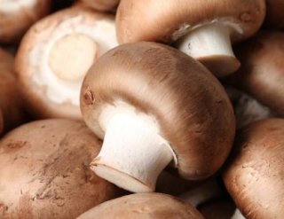 Feldsalat mit gefüllten Champignons