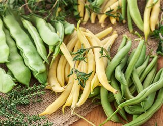 Rindfleisch mit grünen Bohnen