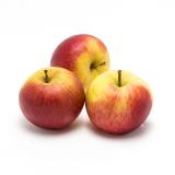 Apfel, Santana Neue Ernte