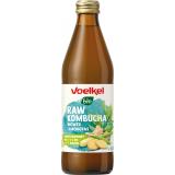 RAW Kombucha Ingwer Lemongras