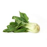 Pak Choy ca.400g