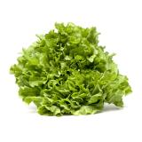 Salat Endivien