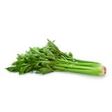 Staudensellerie 350g