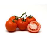 Tomaten Strauchtomaten