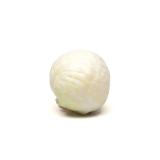Weißkohl ca.700g