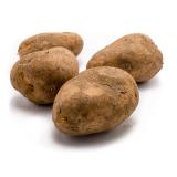 1,5kg festkochende Kartoffeln Frühkartoffeln