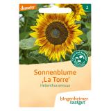 Saatgut  Sonnenblume La Torre