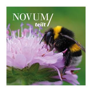 25 m² Insekten-Blühfläche