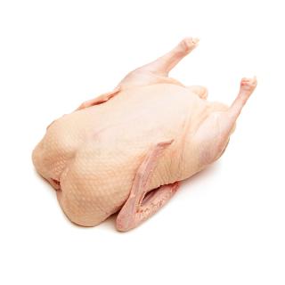 Ente ca. 2,5kg