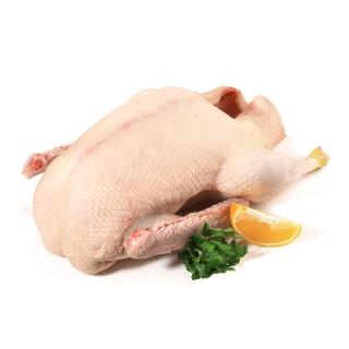 Gans ca.4kg