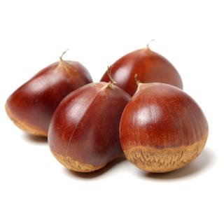 Maronen Esskastanien