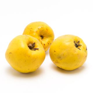 Quitten