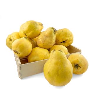 .Quitten 5kg in der Kiste