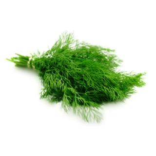 Dill