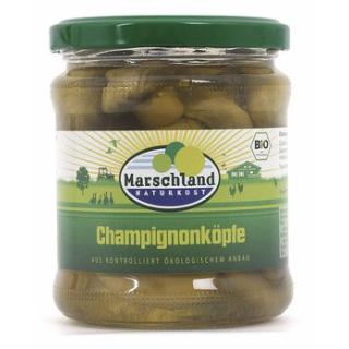 Champignon Köpfe