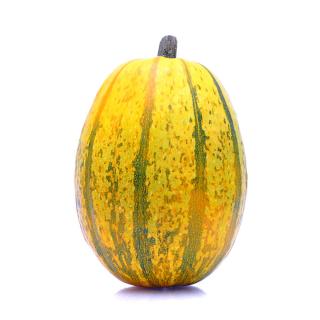 Kürbis-Spaghetti 1,2kg