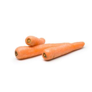 Möhren, dicke für Saft