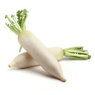 Rettich weiß