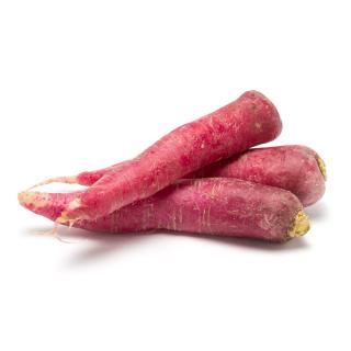 Rettich lila