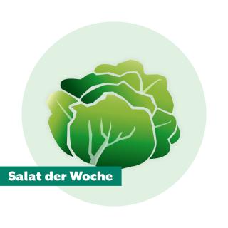 Salat der Woche: Batavia grün