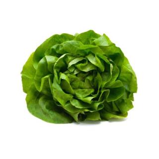 Salat Kopfsalat, grün