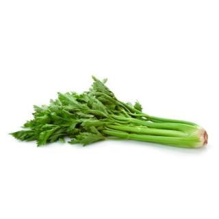 Staudensellerie 400g