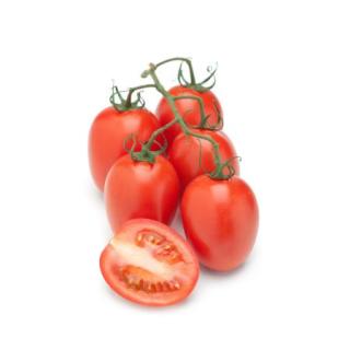 Tomaten Romatomaten