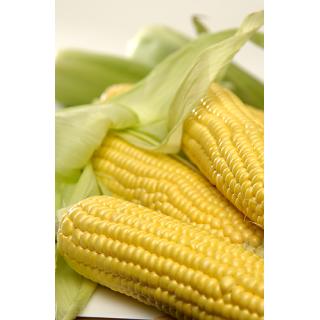 Zuckermais vakuum 2Stück