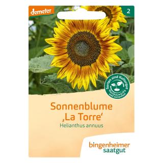 Saatgut  Sonnenblume La Torre
