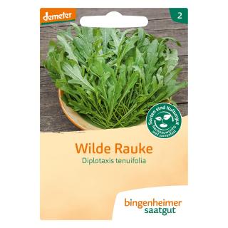 Saatgut  Rucola Wilde Rauke