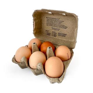Eier 6er Pack, Bornhof Demeter