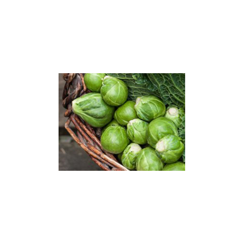 Baked-Rosenkohl mit Parmesan und Honig