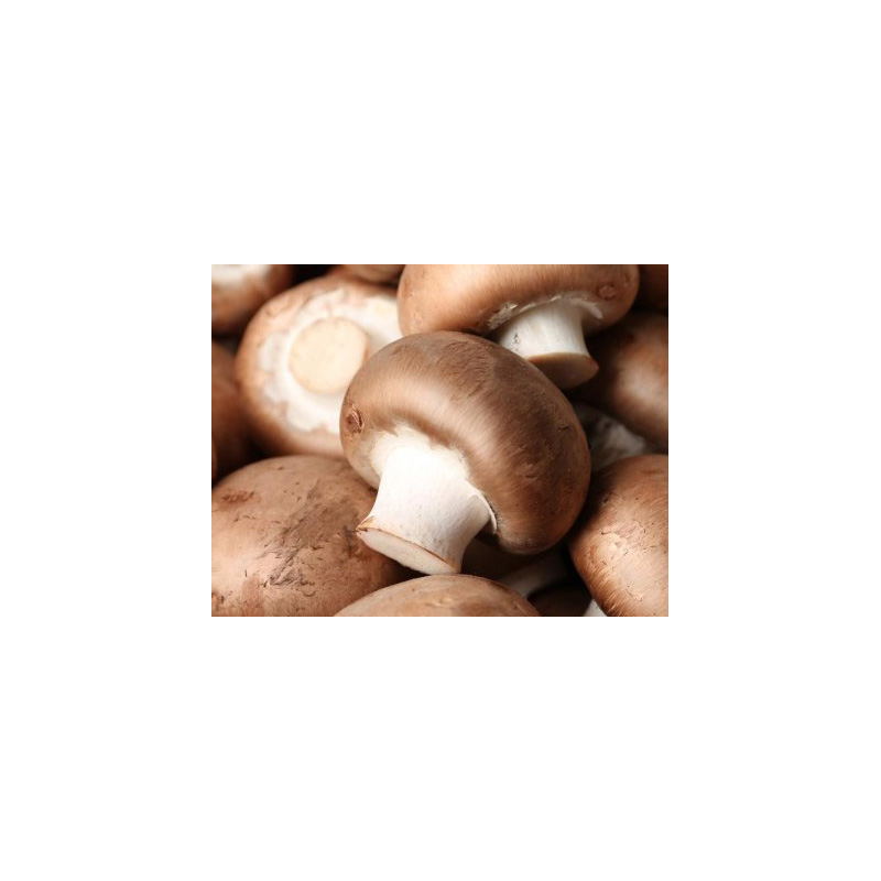 Feldsalat mit gefüllten Champignons