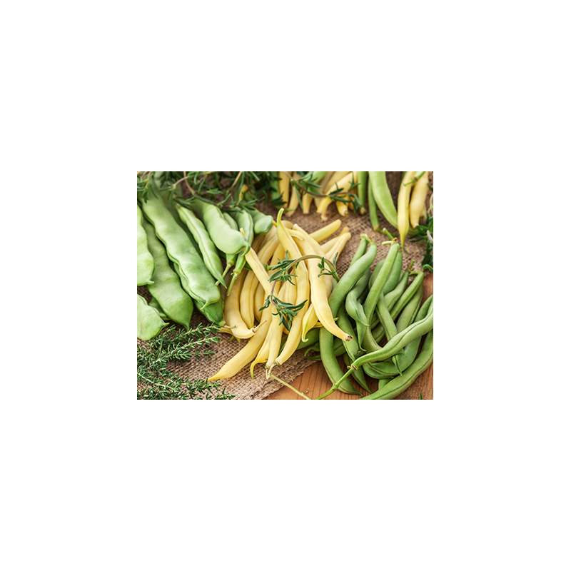 Rindfleisch mit grünen Bohnen