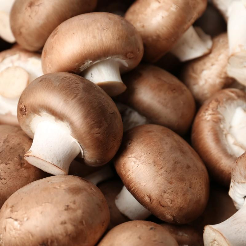 Feldsalat mit gefüllten Champignons