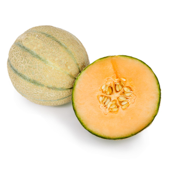 Melone Honigmelone Cantaloupe 450g