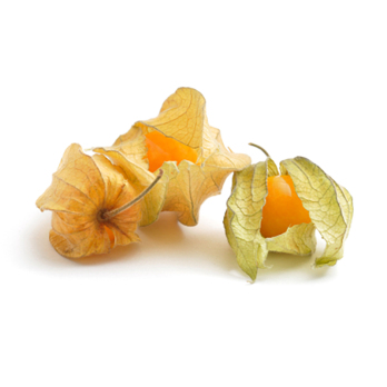 Physalis (Kapstachelbeere)
