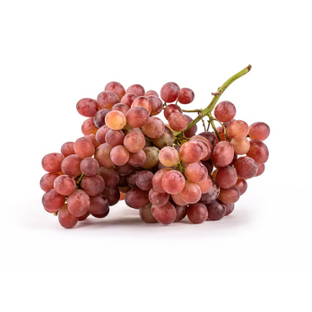 Trauben rot kernlos