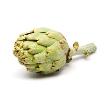 Artischocken violett  ca.150g-200g