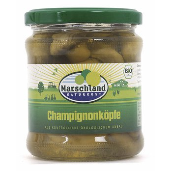 Champignon Köpfe