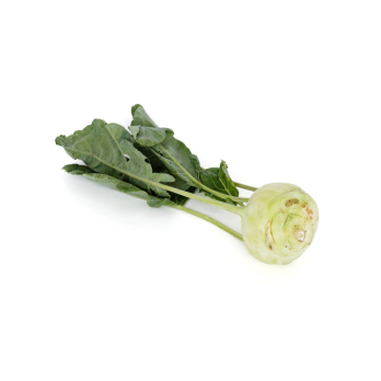 Kohlrabi