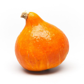 Kürbis Hokkaido rot