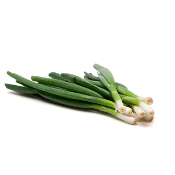 Lauchzwiebeln, Bundzwiebeln