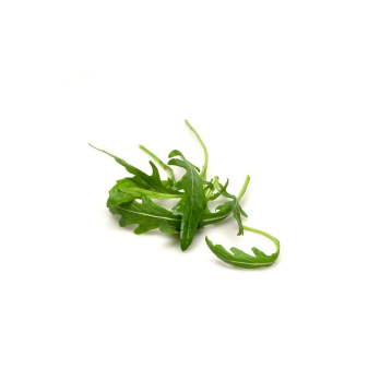 Salat Rucola