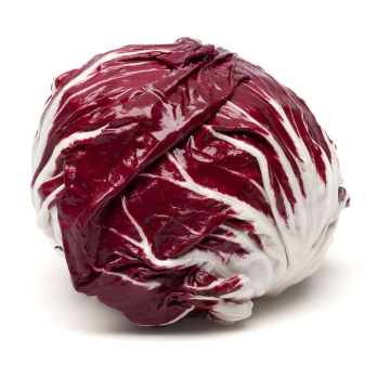 Salat Radicchio