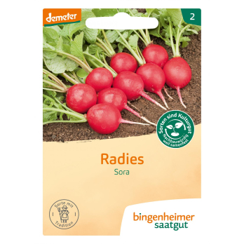 Saatgut  Radieschen Sora
