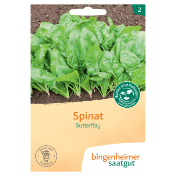 Saatgut  Spinat Butterflay