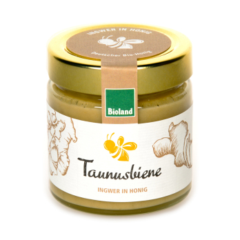 Taunusbiene Ingwer in Honig