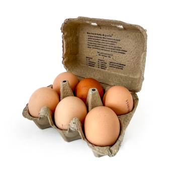 Eier 6er Pack, Bornhof Demeter