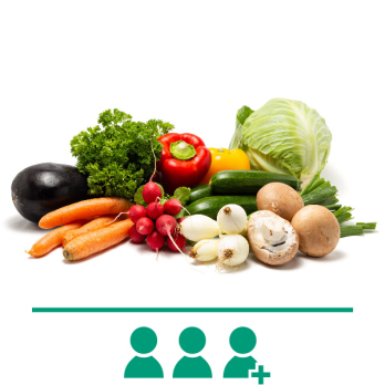 Bio-FrischeKiste Gemüse 23